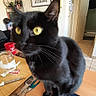 black_cat, cat, yellow_eyes, table, scissors, jar, cup, indoor, home, furniture, kitchen, curious, pet, animal, whiskers, wooden_surface, domestic, portrait, close_up, looking