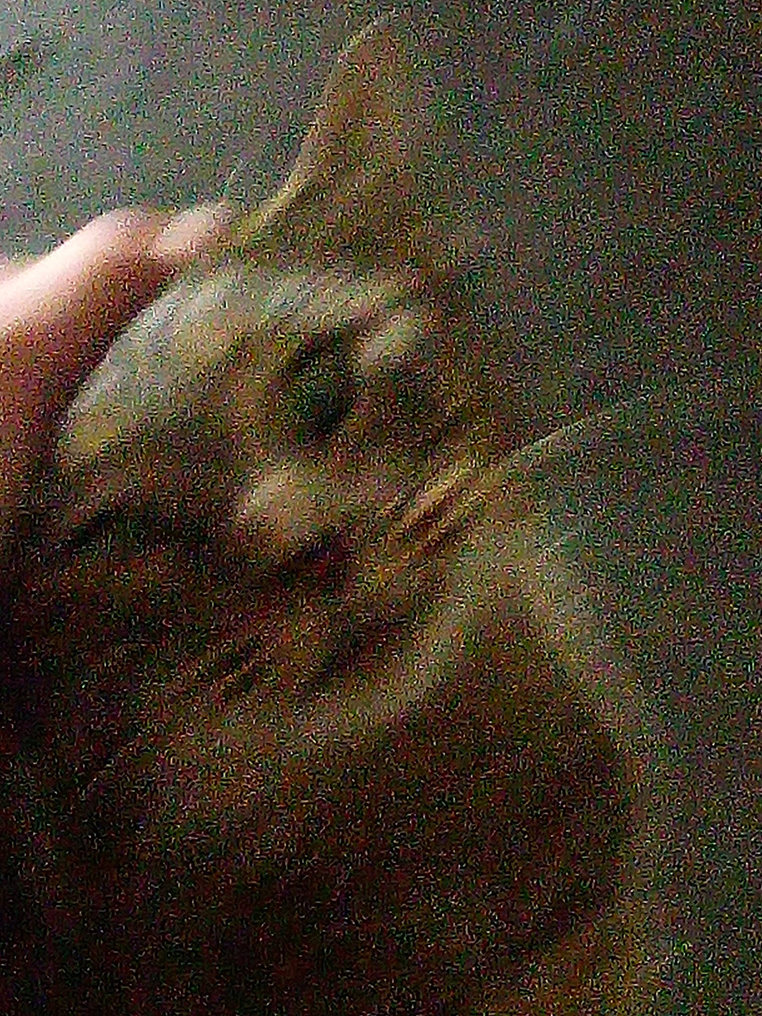 Kiwi is registered to the contest to win money with this photo: barefoot, carnivore, fawn, felidae, foot, fur, gesture, gunny_sack, human_leg, metal, nail, pattern, paw, small_to_medium_sized_cats, snout, soil, terrestrial_animal, whiskers, wood, woven_fabric