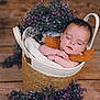 Yvana participe au concours pour gagner de l'argent avec cette photo : baby, sleeping, basket, flowers, wooden_floor, cozy, infant, rest, peaceful, purple, nature, soft, cute, child, portrait, peace, blanket, hands, relaxation, decor