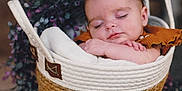 Yvana participe au concours pour gagner de l'argent avec cette photo : baby, sleeping, basket, blanket, flower, purple, cozy, infant, peaceful, cute, portrait, resting, child, soft, hands, face, closed_eyes, woven, decor, indoor