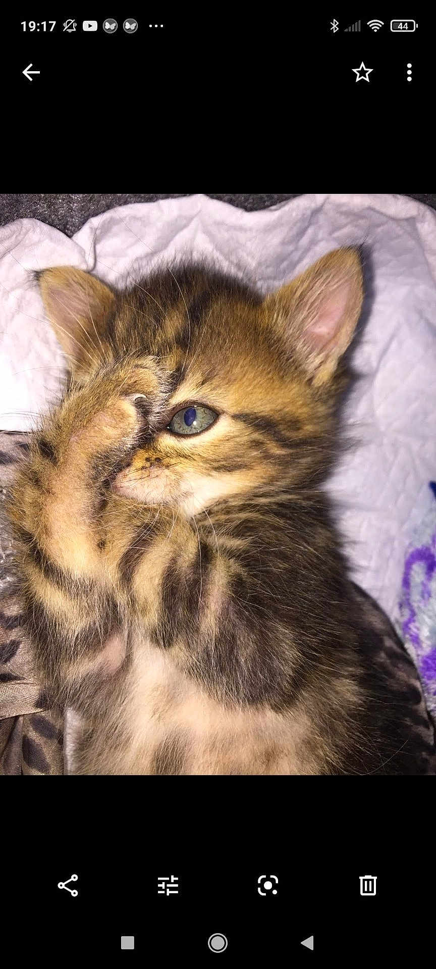 Pablo