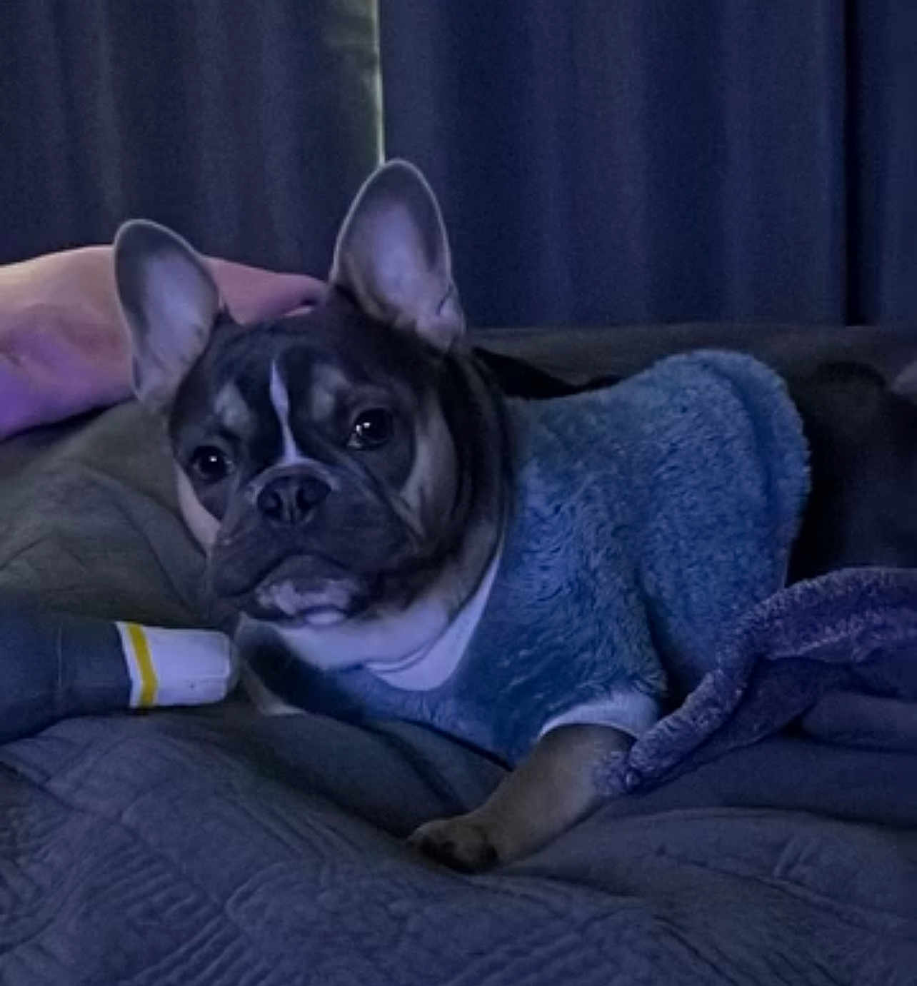 Gordo