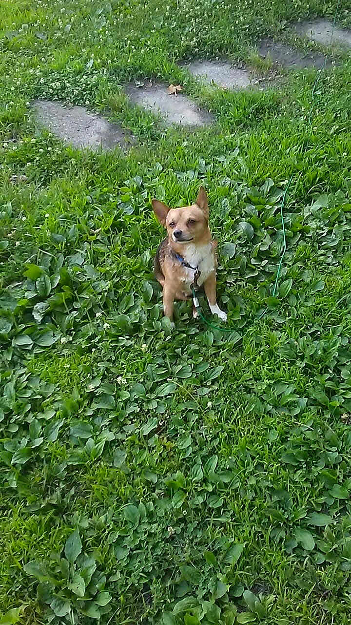 Max