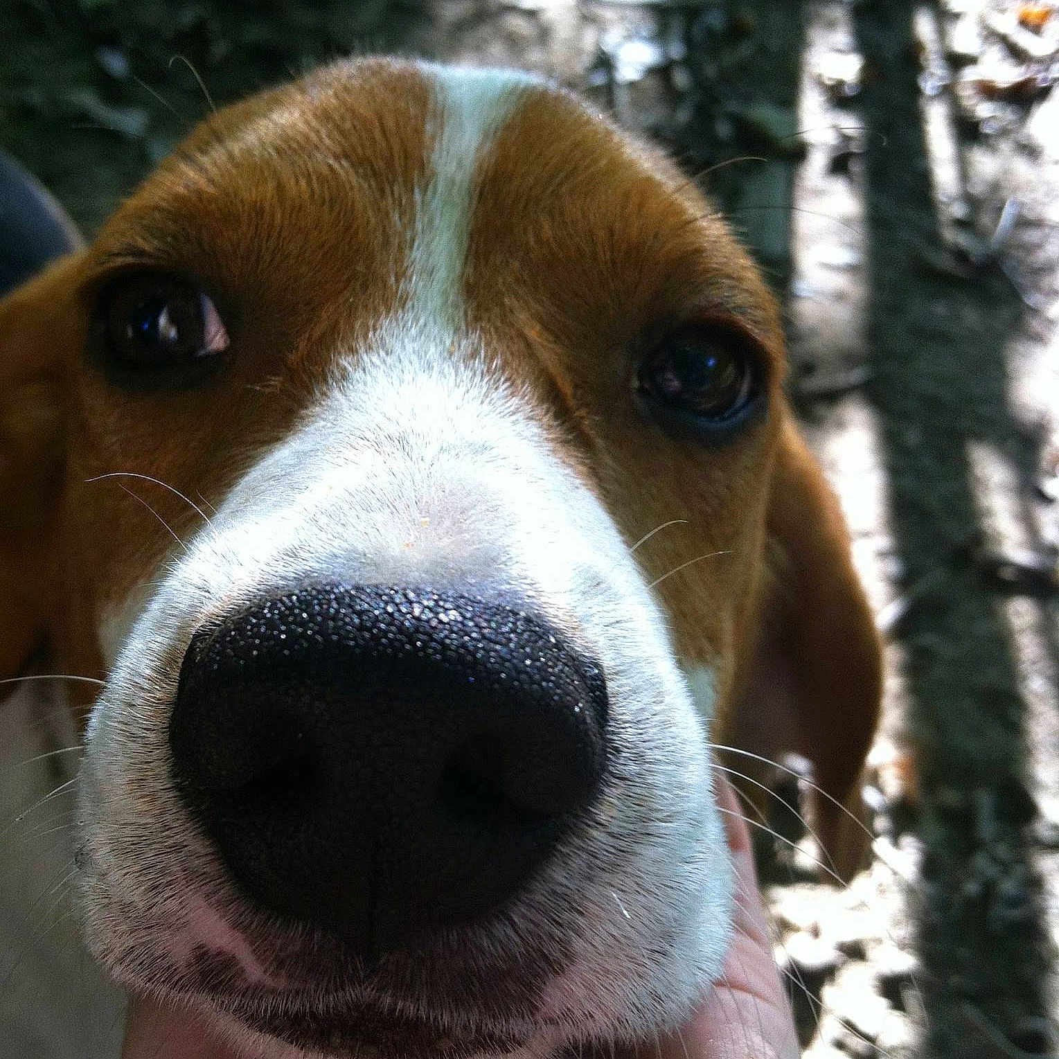 Lacey joined the competition — help win amazing prizes!