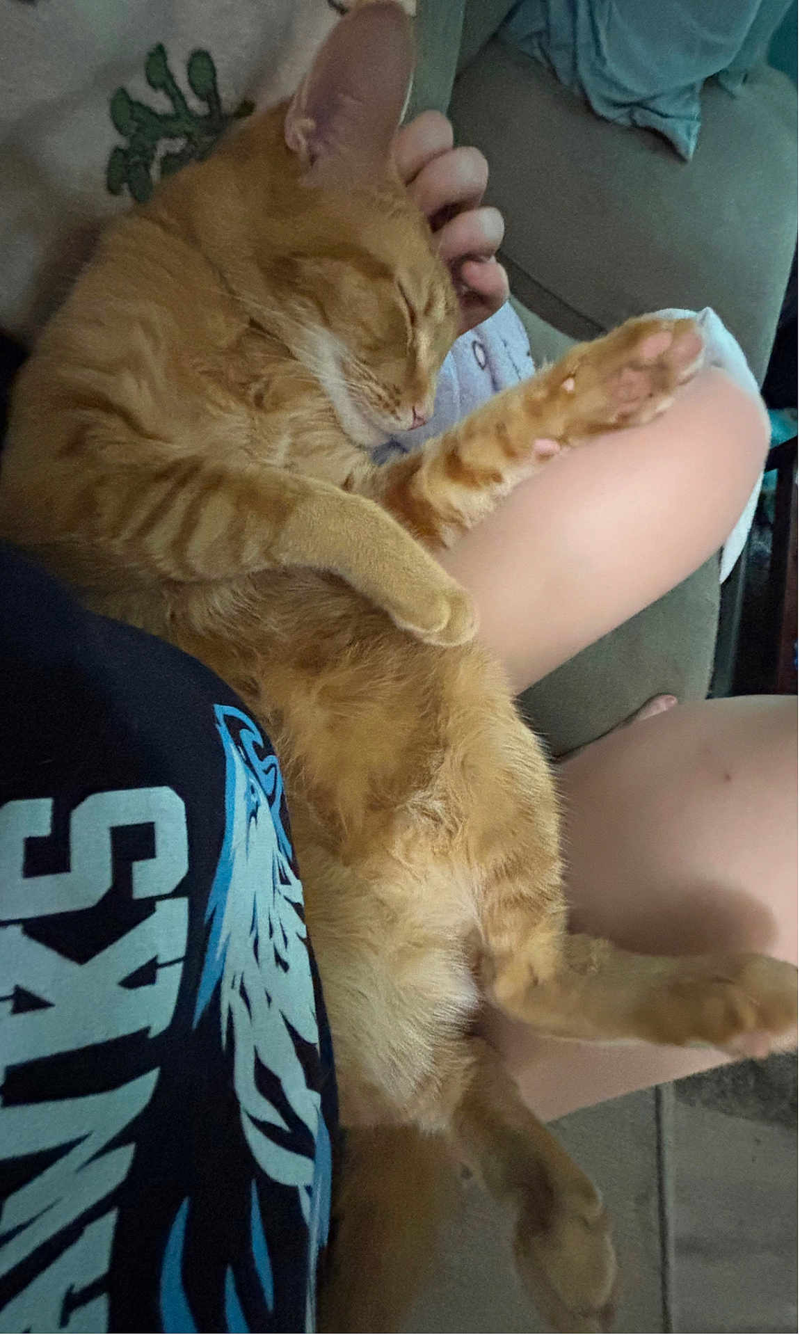 Louie