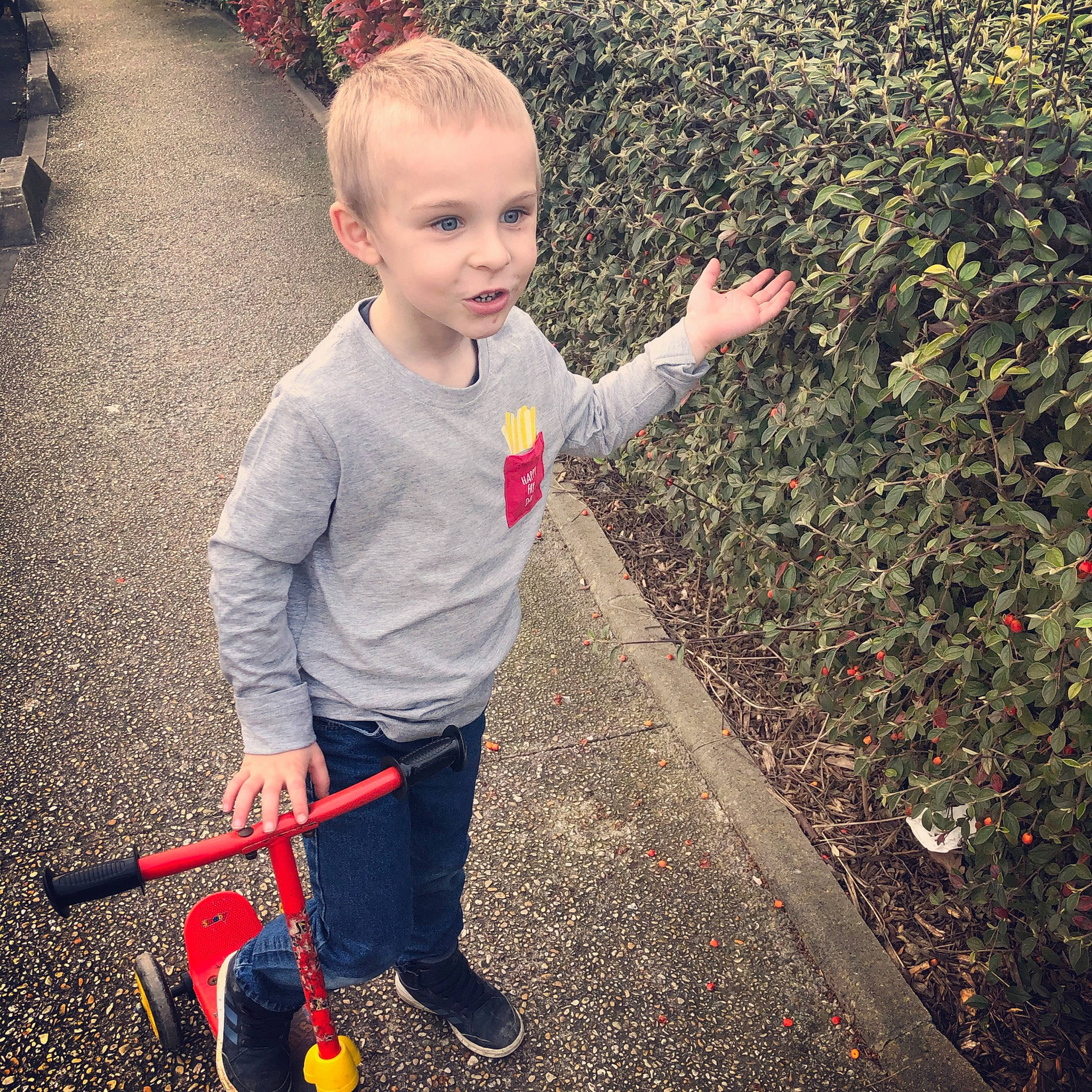 Ugo participe au concours pour gagner de l'argent avec cette photo : asphalt, child, design, leaf, pattern, person, plant, play, shrub, soil, standing, toddler, tree, vehicle