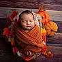 newborn, baby, sleeping, wrapped, basket, autumn, fall_leaves, pumpkins, orange_cloth, cozy, portrait, wooden_floor, decorative, peaceful, cute, infant, closeup, indoors, soft_texture, seasonal