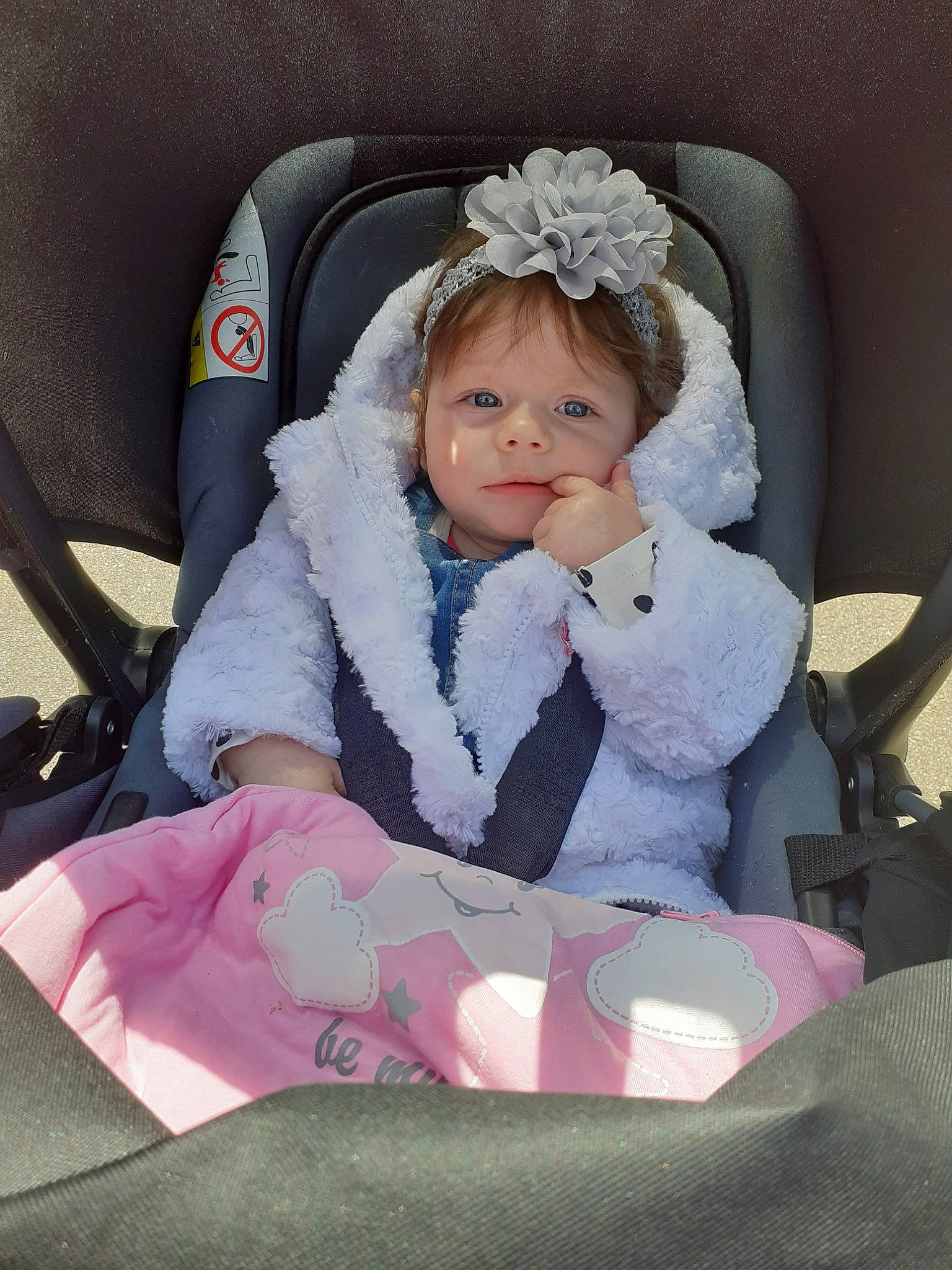 Nola participe au concours pour gagner de l'argent avec cette photo : auto_part, baby, baby_carriage, baby_in_car_seat, baby_products, car_seat, car_seat_cover, child, comfort, person, pink, product, toddler