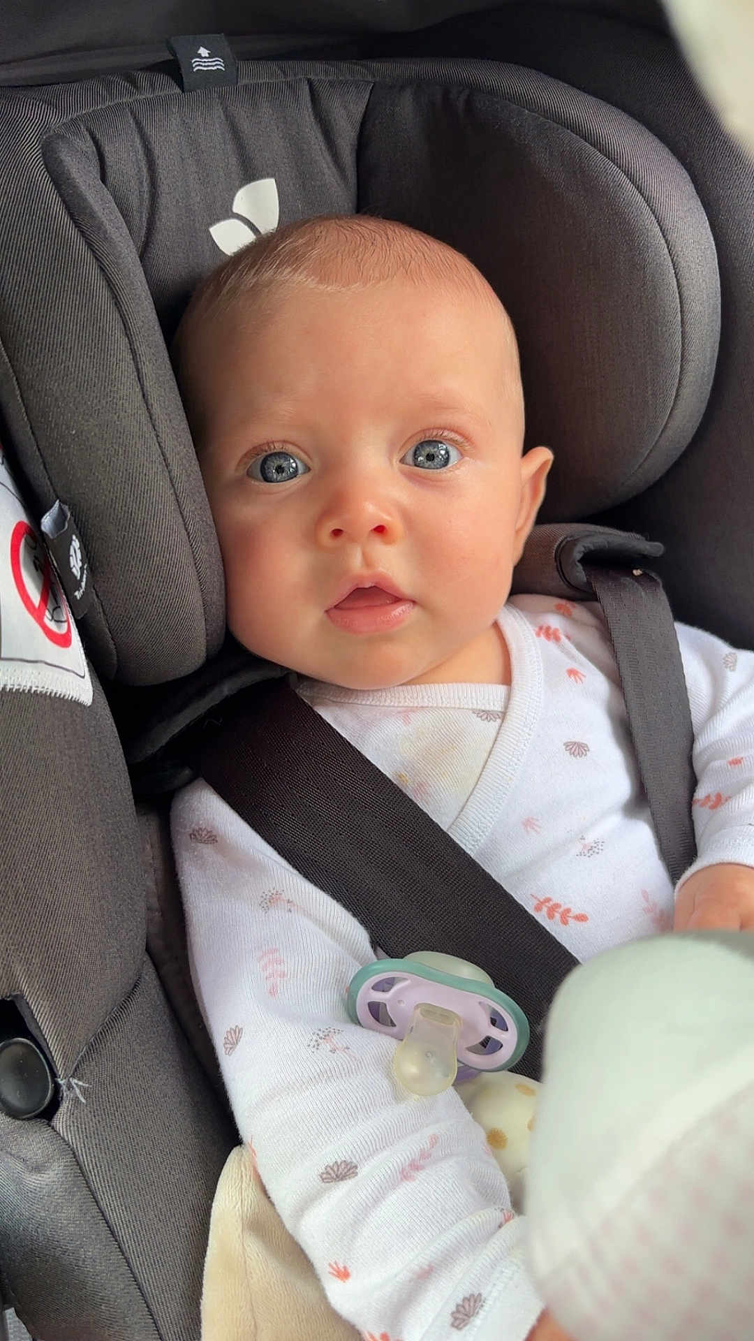 Esmée a rejoint le concours — aidez-le/la à gagner de superbes lots ! baby, car_seat, blue_eyes, onesie, pacifier, infant, child, seatbelt, closeup, cute, indoor, soft_lighting, expression, face, head, person, safety, infancy, adorable, clothing