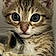 Minou
