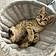 Minou