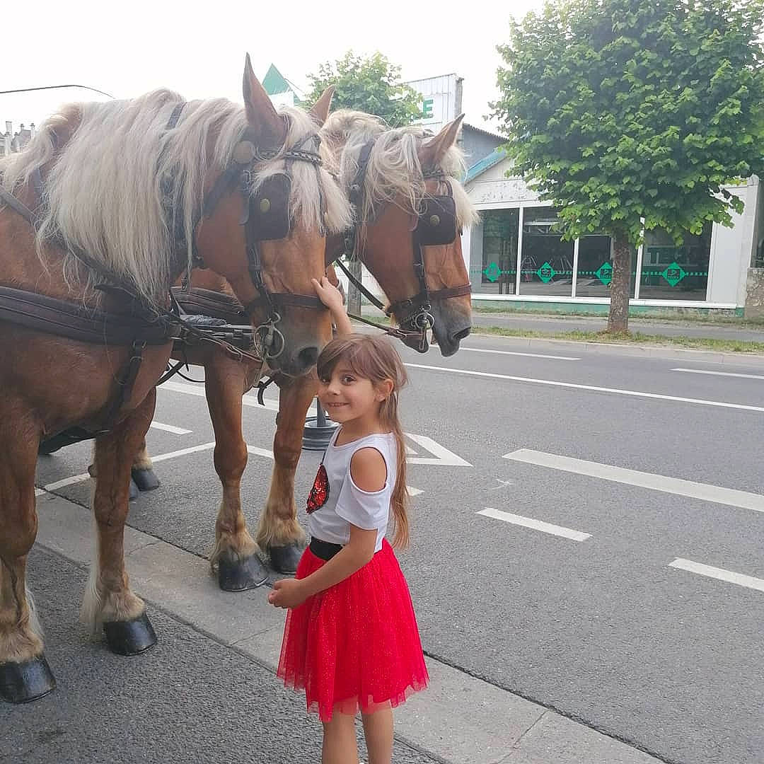 Thanya participe au concours pour gagner de l'argent avec cette photo : bridle, dress, event, fun, horse, horse_supplies, horse_tack, joy, livestock, mane, mare, pack_animal, people, person, recreation, rein, sky, smile, snout, toddler
