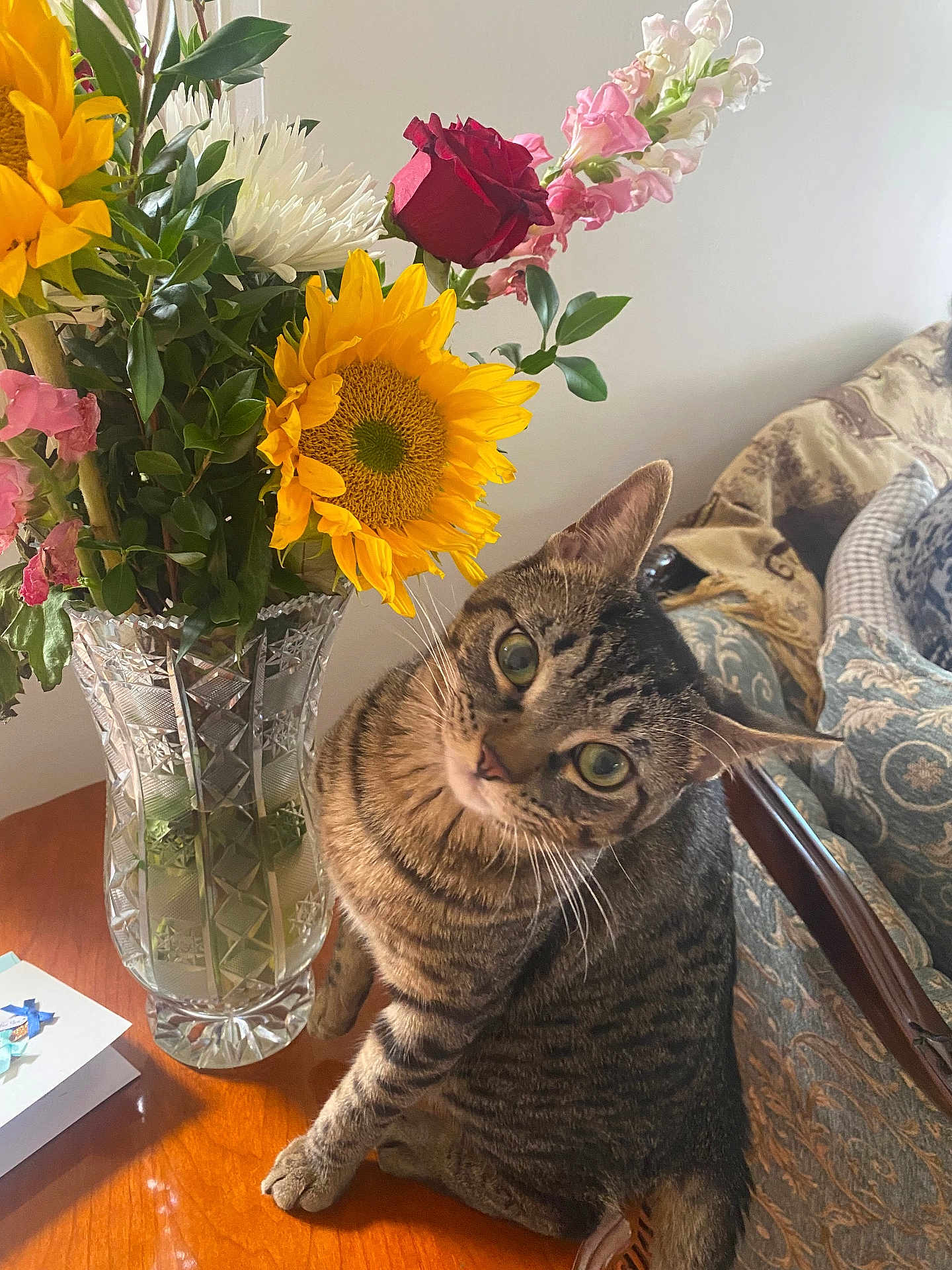 Smokey joined the competition — help win amazing prizes! cat, tabby_cat, flower_vase, sunflower, rose, bouquet, table, wooden_table, greenery, indoor, furniture, couch, patterned_couch, pet, curious, plant, leaf, still_life, domestic_animal, houseplant