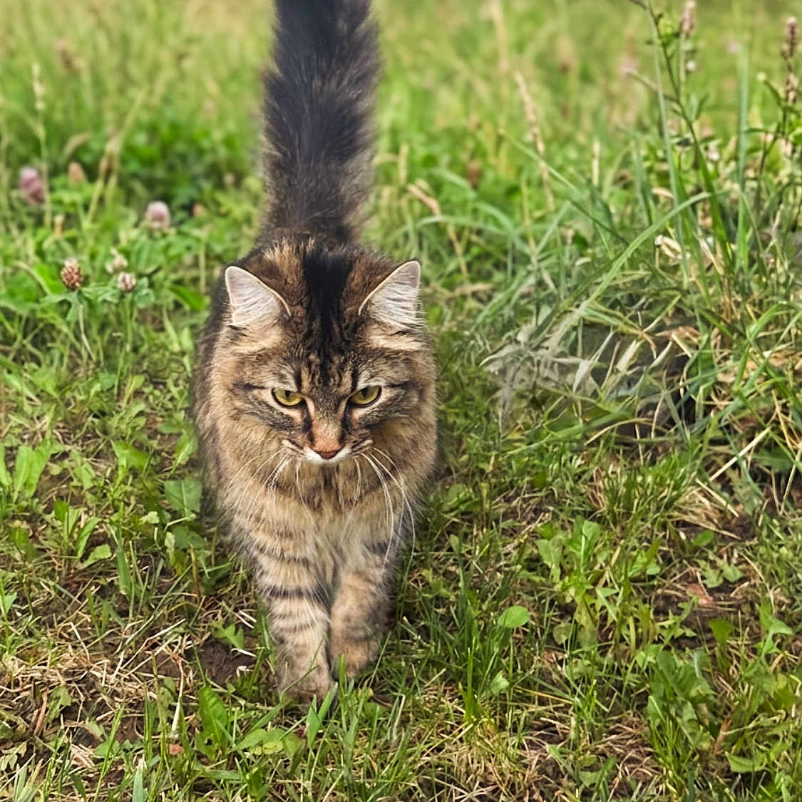 Zoe