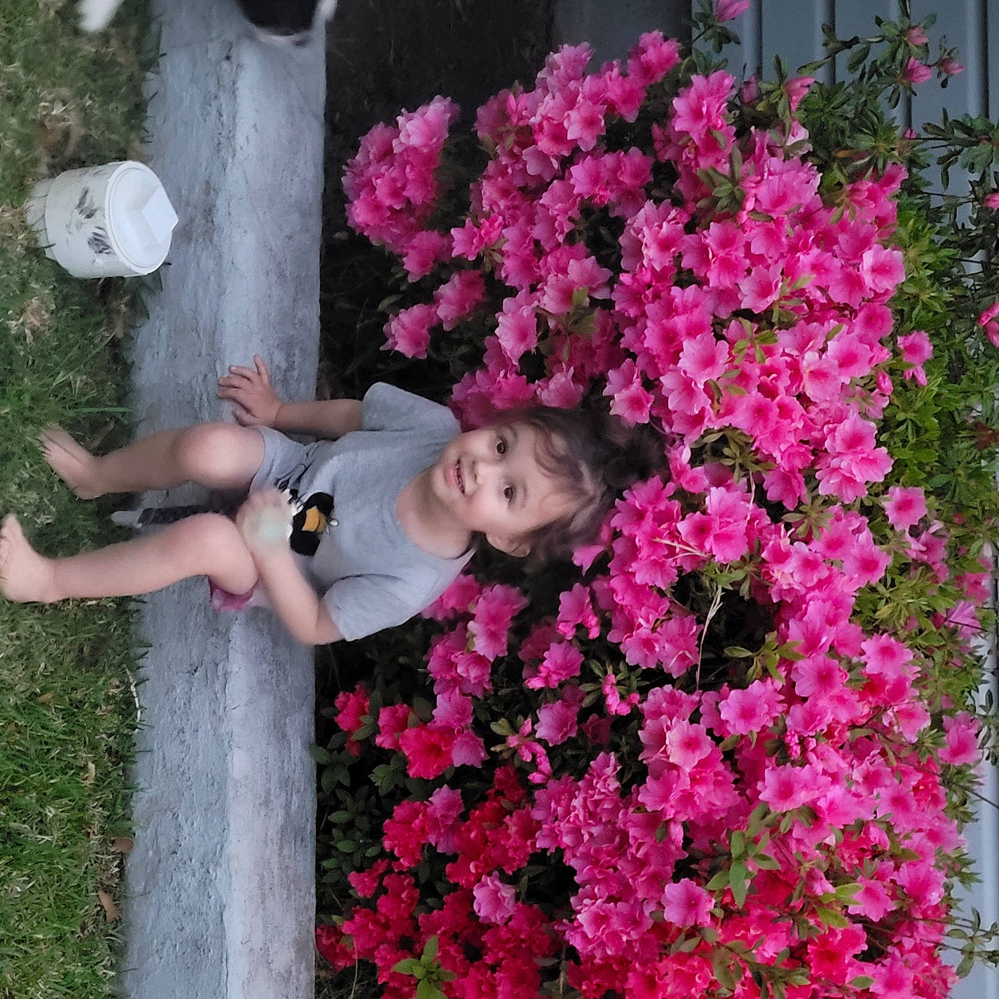 Riley is registered to the contest to win money with this photo: annual_plant, bougainvillea, floral_design, flower, flower_arranging, flowering_plant, garden, grass, groundcover, human_leg, joy, magenta, people_in_nature, person, petal, pink, plant, red, rose_family, shrub