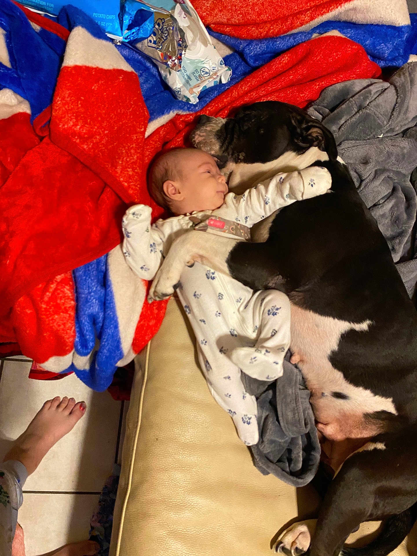 Oaklynn joined the competition — help win amazing prizes! baby, infant, newborn, dog, large_dog, blanket, couch, pajamas, cuddle, sleeping, pet, foot, tile_floor, chips_bag, cozy, nap, fur, human_face, animal_face, living_room