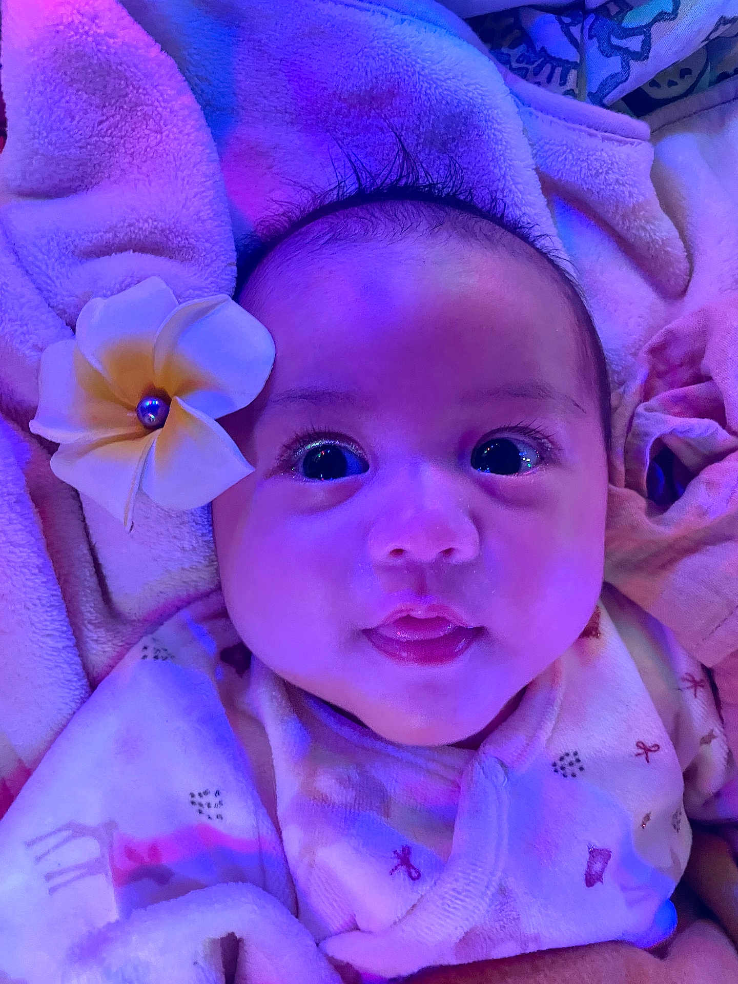 Kailani Ching Hon participe au concours pour gagner de l'argent avec cette photo : baby, flower, blanket, face, infant, child, cute, portrait, smile, indoors, soft_texture, clothing, head_accessory, wide_eyes, tongue_out, closeup, sleepwear, adorable, resting, purple_light