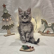 Arya participe au concours pour gagner de l'argent avec cette photo : background, cat, christmas_tree, cute, decorations, fairy_lights, felt, festive, fluffy, gray_cat, holiday, indoor, kitten, ornament, sitting, small, soft_lighting, toy, winter, wooden_rocking_horse