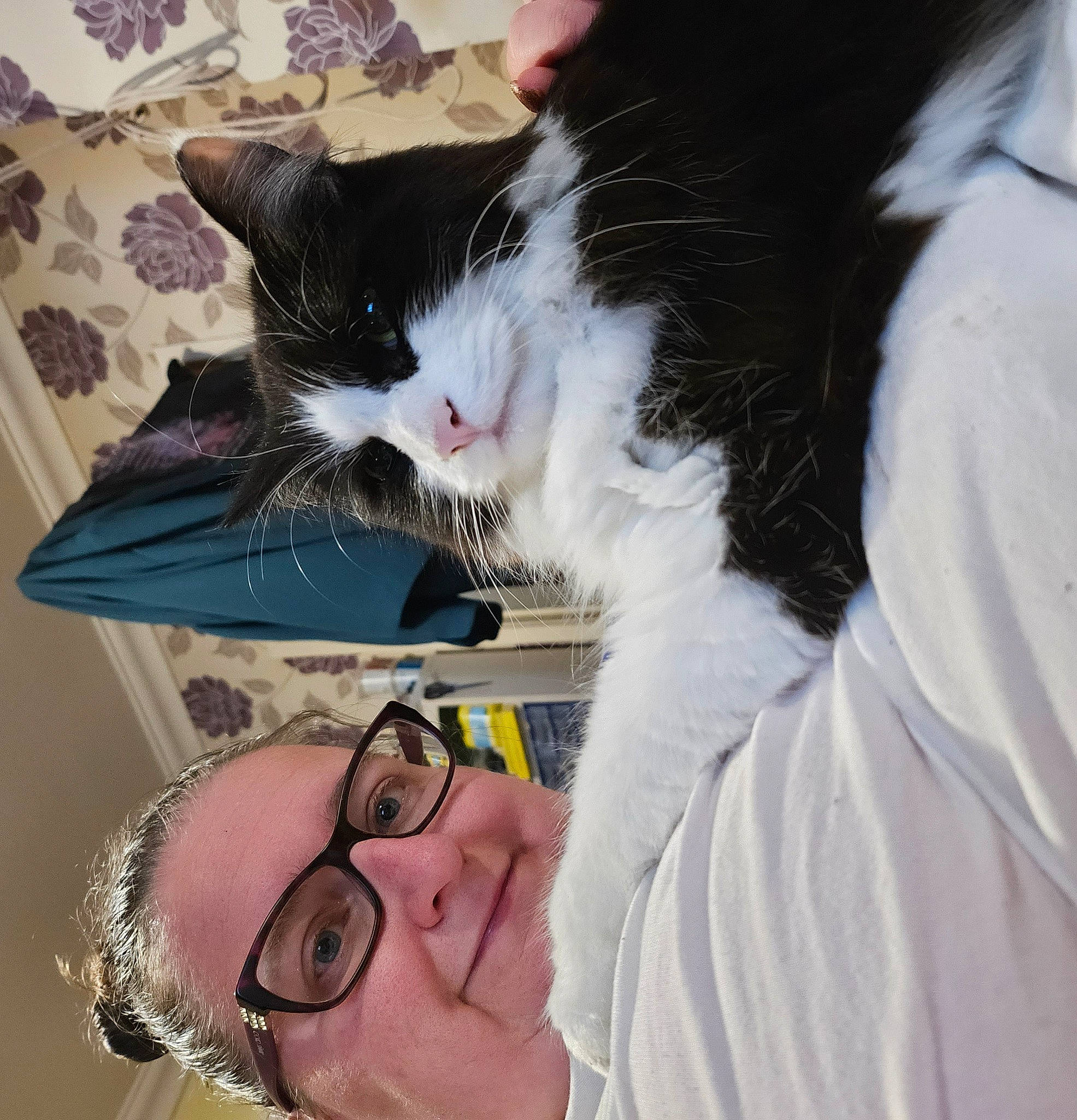 Bandit joined the competition — help win amazing prizes! carnivore, cat, comfort, cool, domestic_short_haired_cat, ear, eyelash, eyewear, felidae, gesture, happy, jaw, lap, mammal, nose, small_to_medium_sized_cats, snout, vision_care, whiskers, white