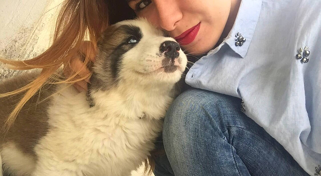 Naos participe au concours pour gagner de l'argent avec cette photo : canidae, carnivore, clothing, companion_dog, denim, dog, dog_breed, eyewear, fawn, formal_wear, fur, happy, nose, puppy_love, snout, sporting_group, sunglasses, toy_dog, whiskers, working_dog