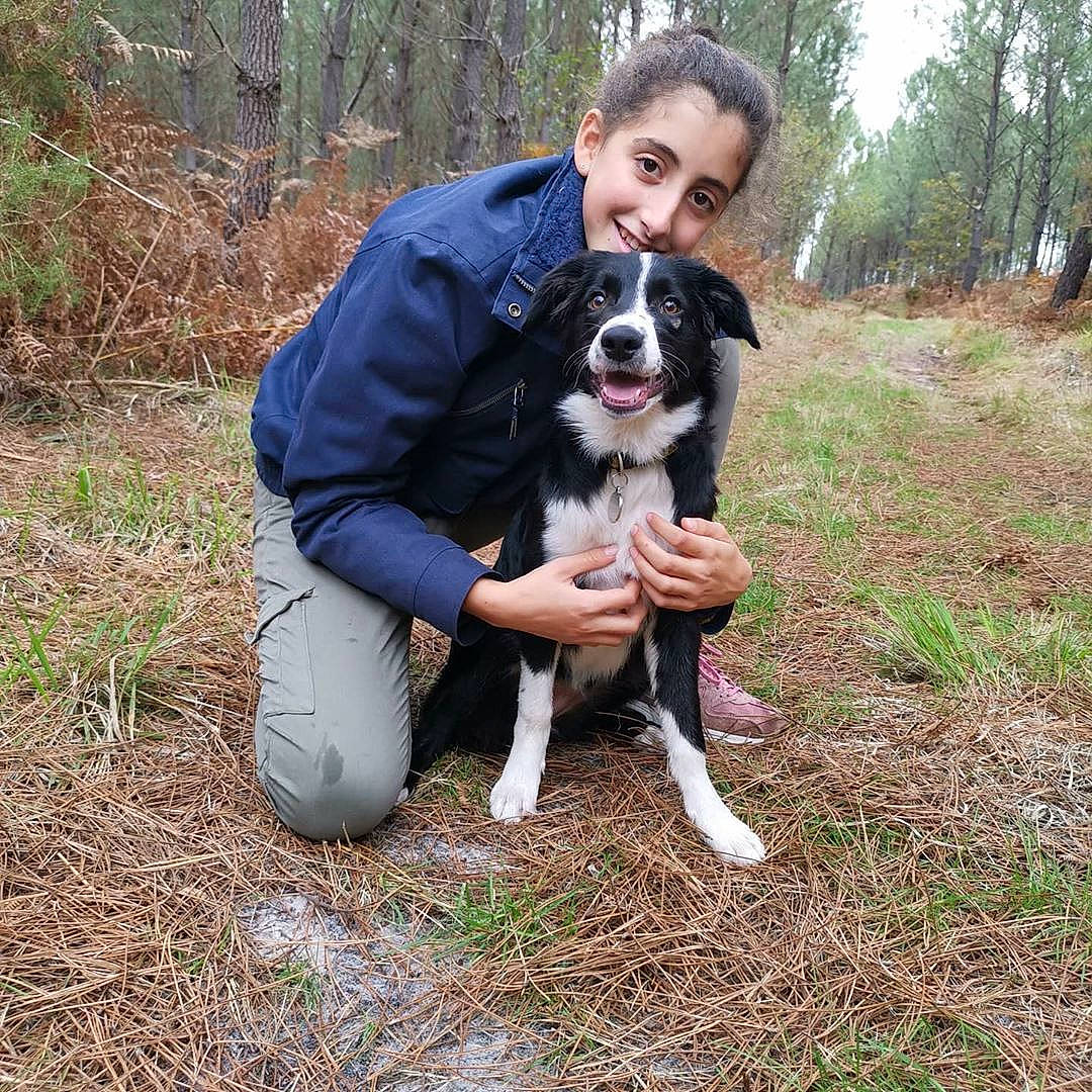 Ronda Et Reyna a rejoint le concours — aidez-le/la à gagner de superbes lots ! adventure, border_collie, canidae, carnivore, companion_dog, dog, dog_breed, drentse_patrijshond, field_trial, hunting_dog, mammal, mcnab, sporting_group, stabyhoun, vertebrate, working_dog