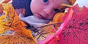 Filip participe au concours pour gagner de l'argent avec cette photo : baby, infant, costume, autumn_leaves, orange, brown, face, blue_eyes, indoor, soft_lighting, curious, cute, closeup, lying_down, blanket, decor, child, fall, seasonal, portrait