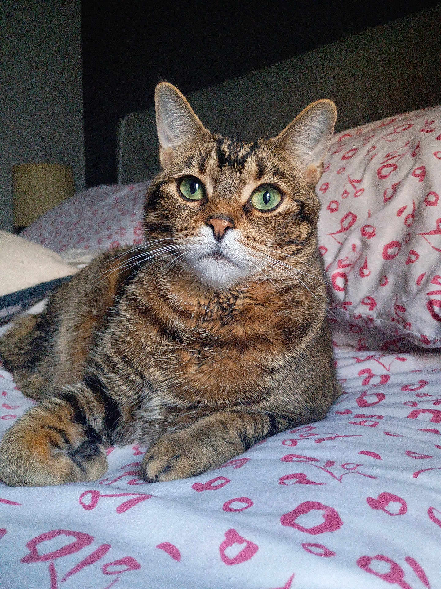 Simba joined the competition — help win amazing prizes! cat, tabby_cat, pet, indoor, bed, bedding, sheet, pattern, green_eyes, feline, fur, whiskers, paw, relaxed, domestic_animal, animal, mammal, close_up, portrait, resting