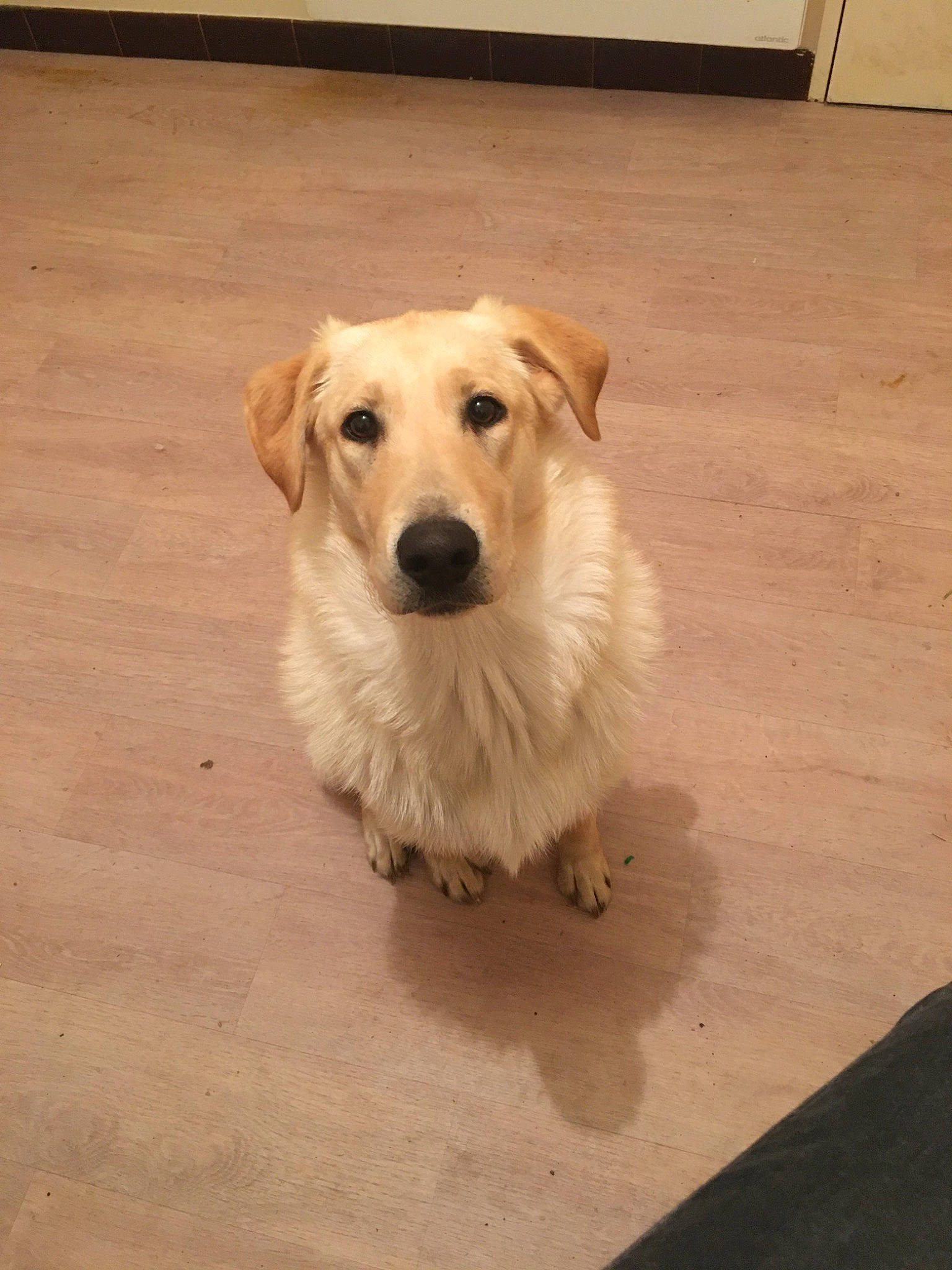 Poumba