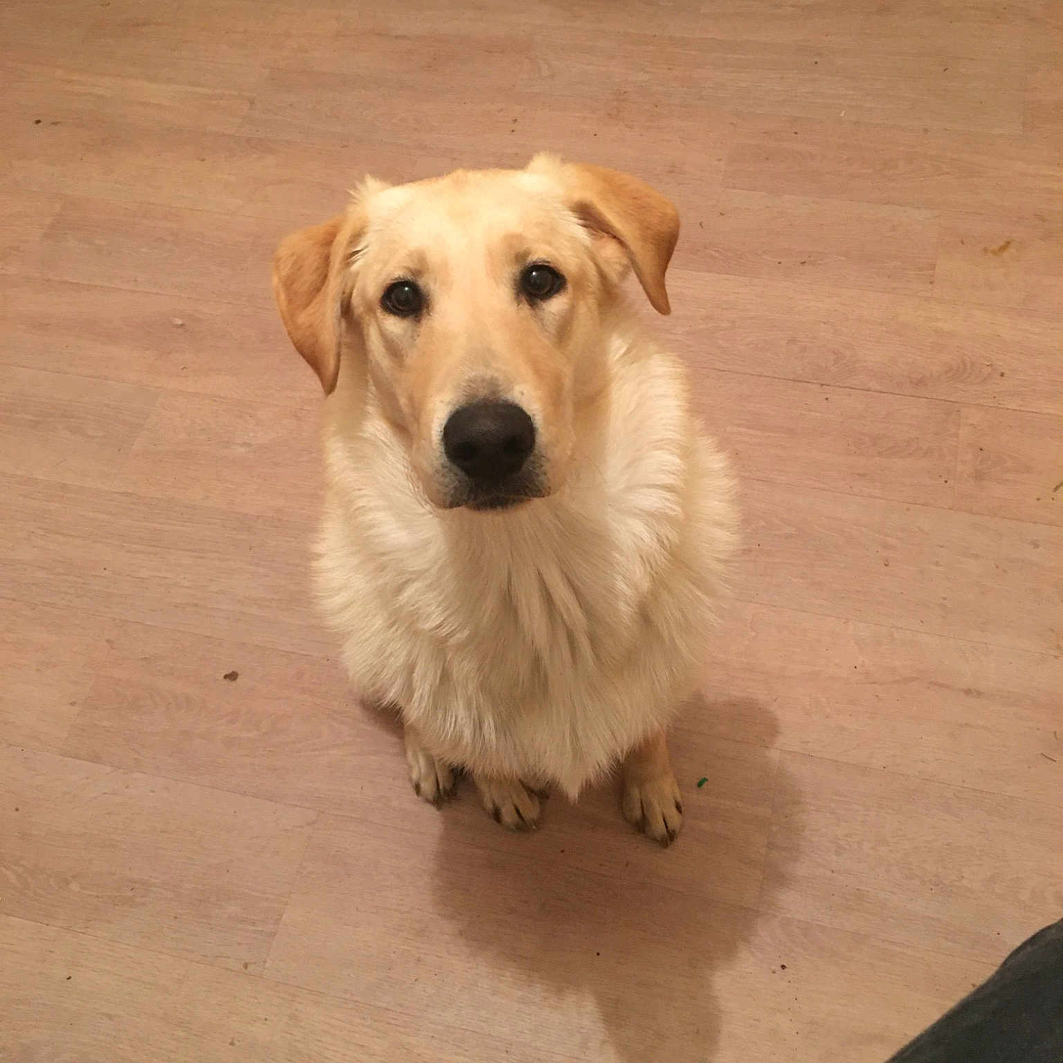 Poumba