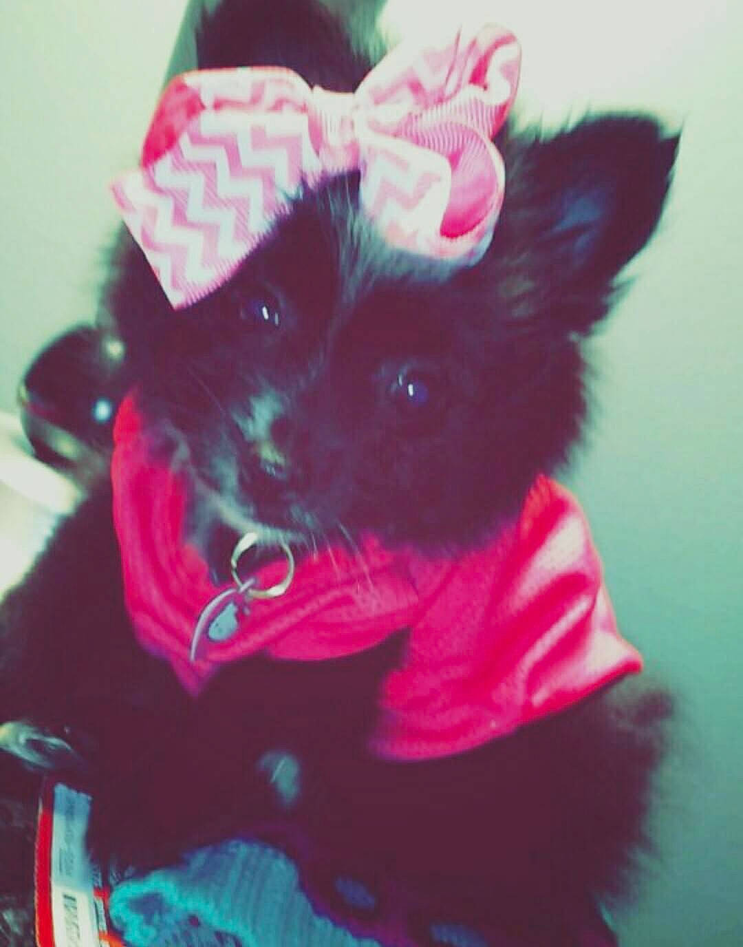 Karma Michelle Coensgen