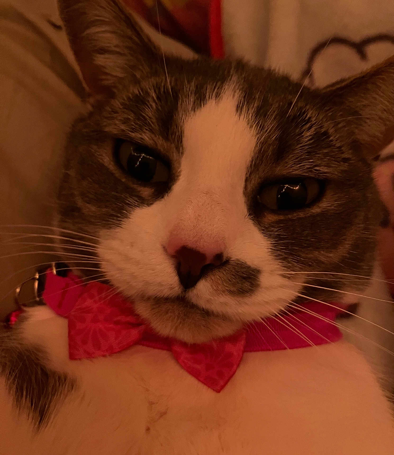 Maggie
