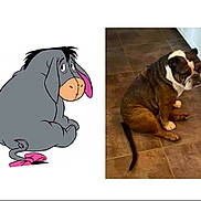 Lightning is registered to the contest to win money with this photo: cartoon, donkey, dog, bulldog, floor, tile, animal, pet, sitting, brown, white, illustration, comparison, funny, tail, pink, ears, expression, sidebyside, background