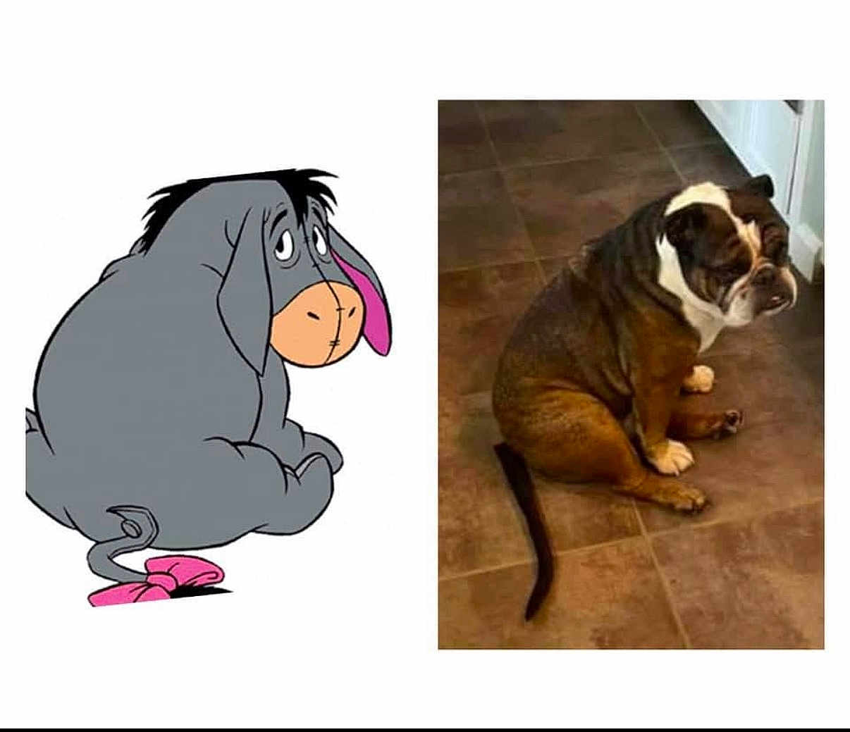 Lightning is registered to the contest to win money with this photo: cartoon, donkey, dog, bulldog, floor, tile, animal, pet, sitting, brown, white, illustration, comparison, funny, tail, pink, ears, expression, sidebyside, background