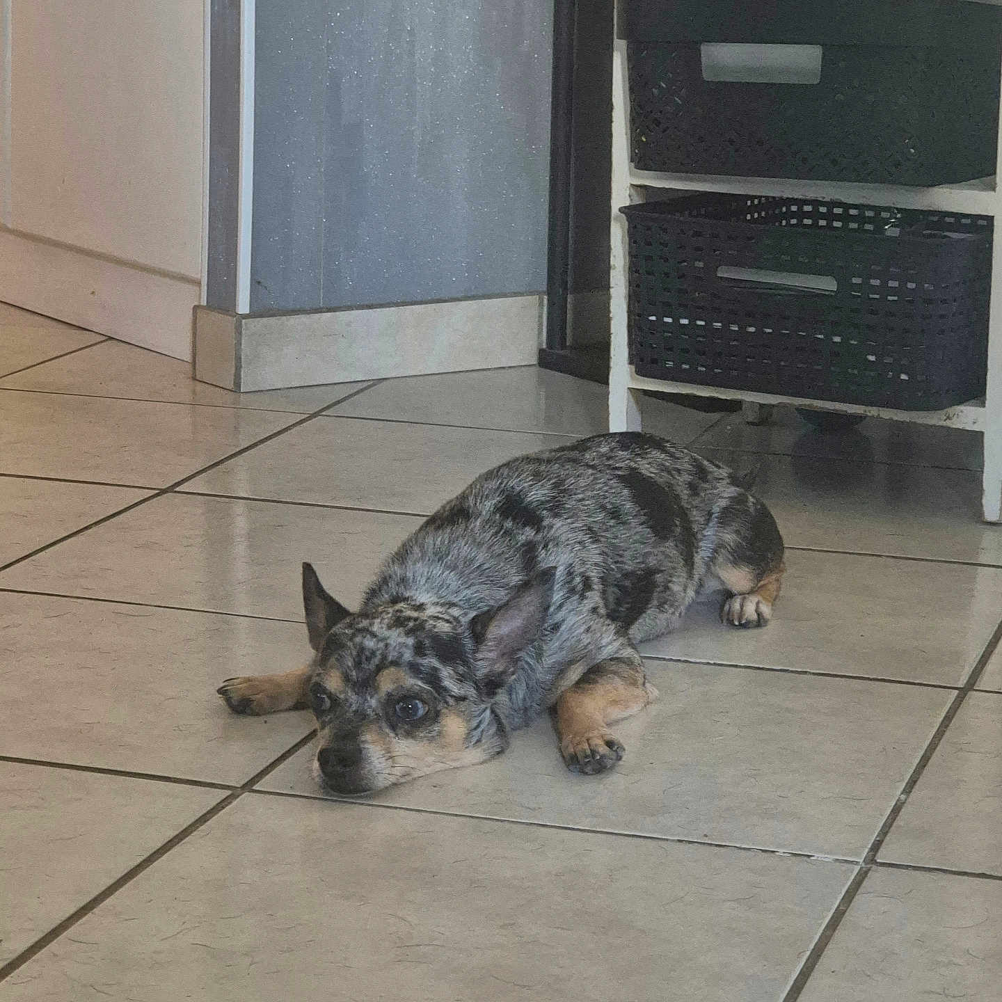 Olaf