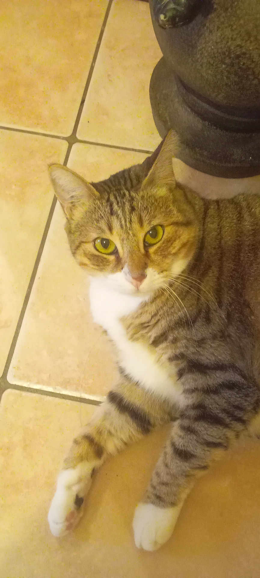 Mia