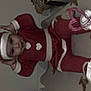 Selena participe au concours pour gagner de l'argent avec cette photo : animal, baby, bonnet, canine, cap, christmas, clothing, dog, elf, face, festival, hat, head, hood, nature, outdoors, person, pet, santaclaus, snow