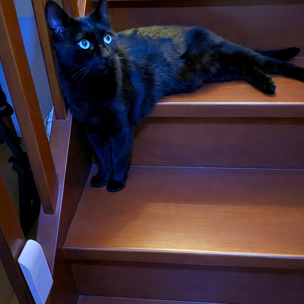 Yami
