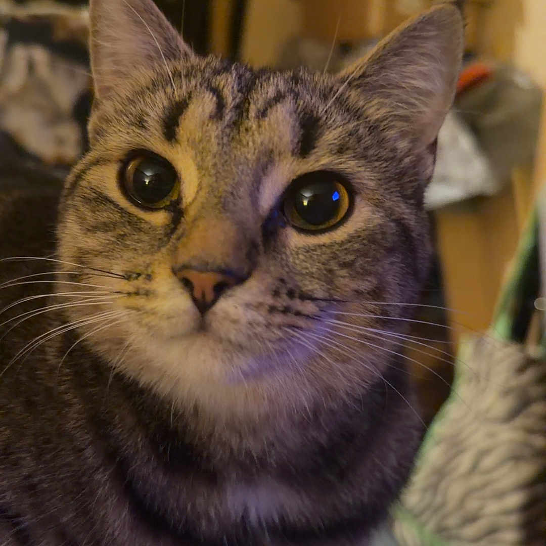 Butterball