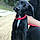 Tiago