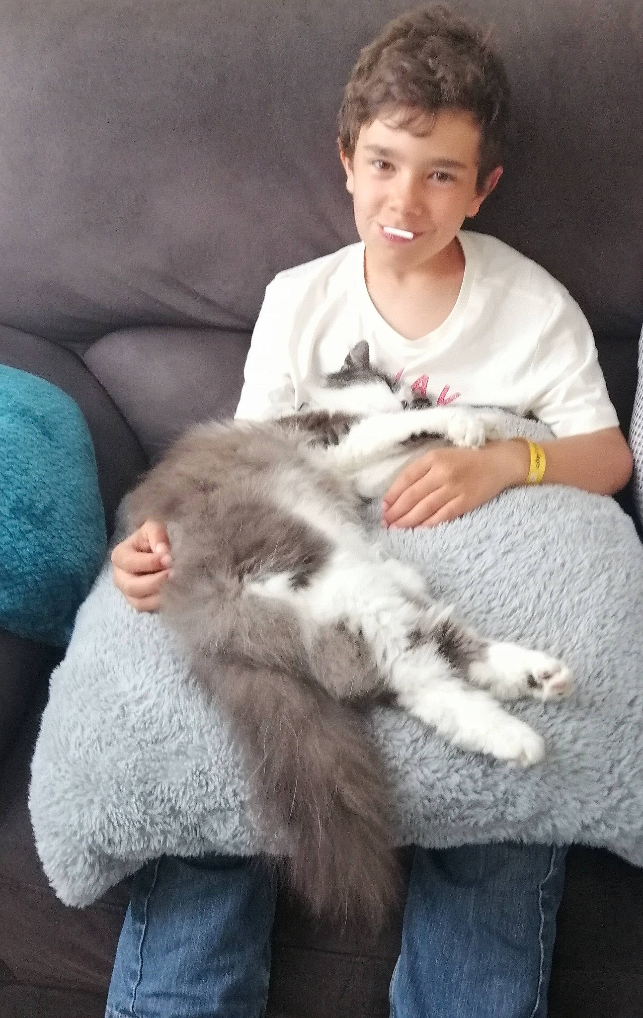 Bounty participe au concours pour gagner de l'argent avec cette photo : canidae, carnivore, cat, child, comfort, companion_dog, couch, dog_breed, domestic_short_haired_cat, ear, eye, felidae, fur, lap, sitting, small_to_medium_sized_cats, smile, sporting_group, watch, whiskers