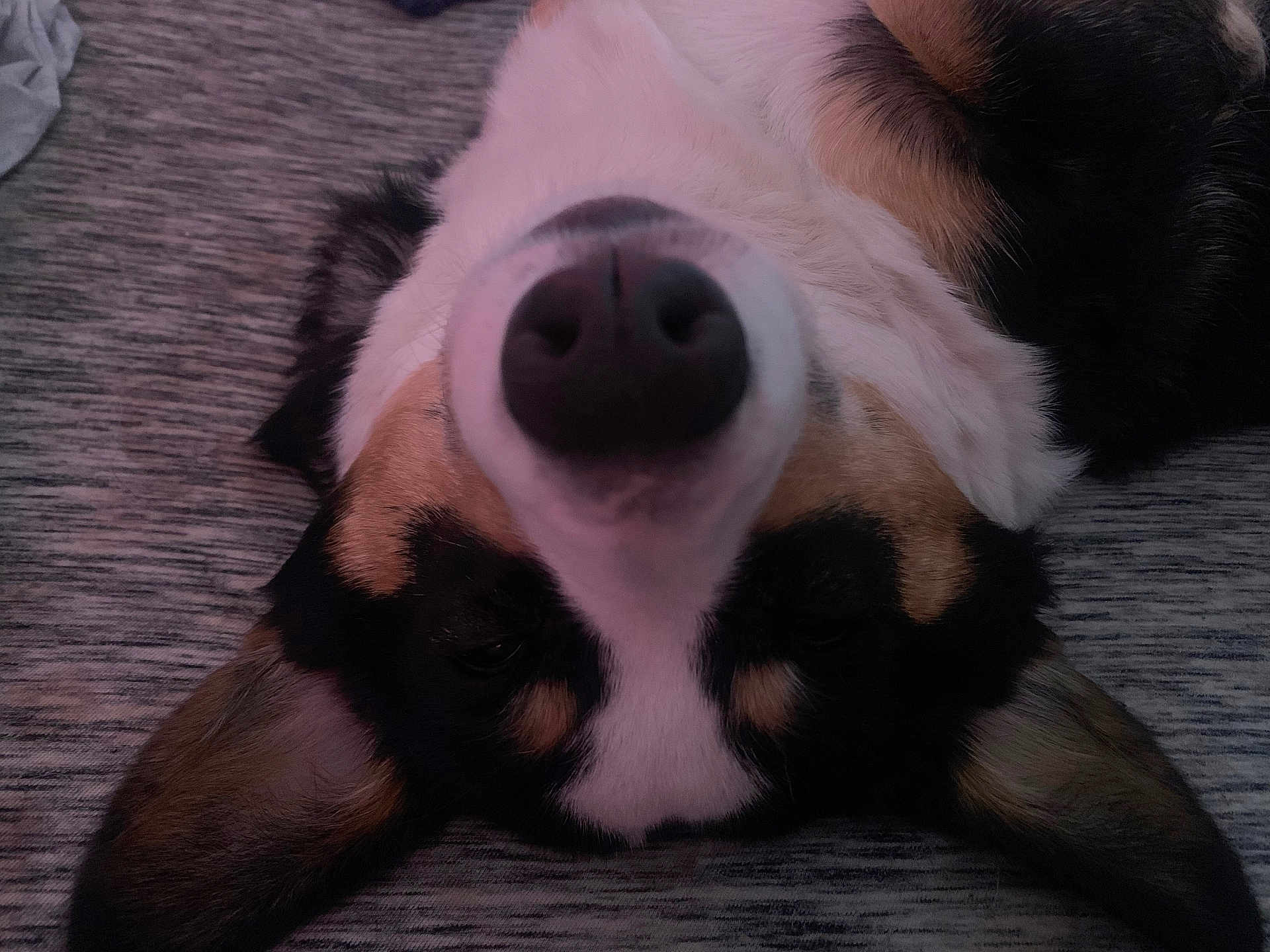 Mocha