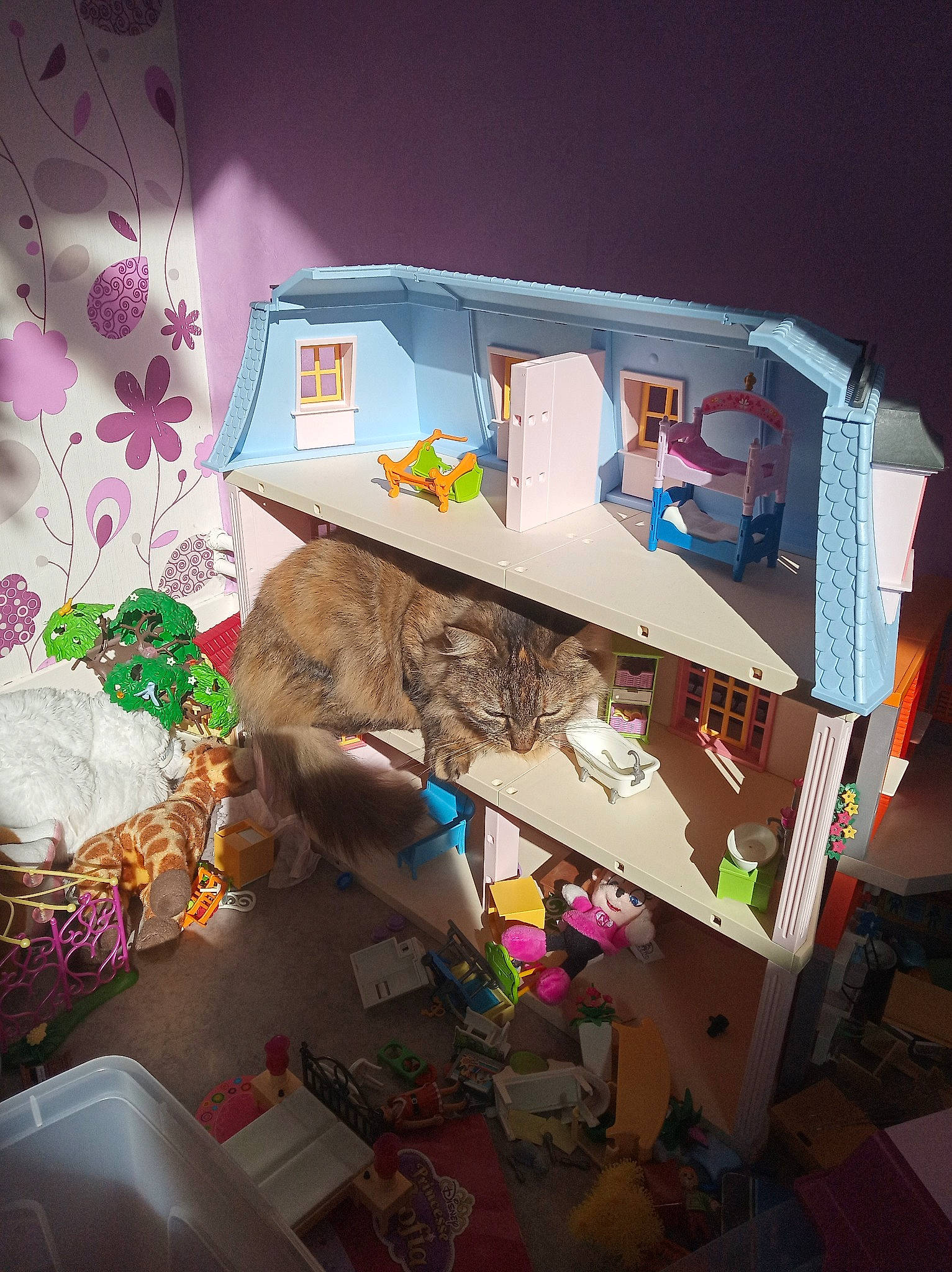 Moustick a rejoint le concours — aidez-le/la à gagner de superbes lots ! art, box, cardboard, carton, collection, event, graphic_design, linens, paint, paper, paper_product, pattern, plastic, room, shelving, space, toy, visual_arts, wood, world