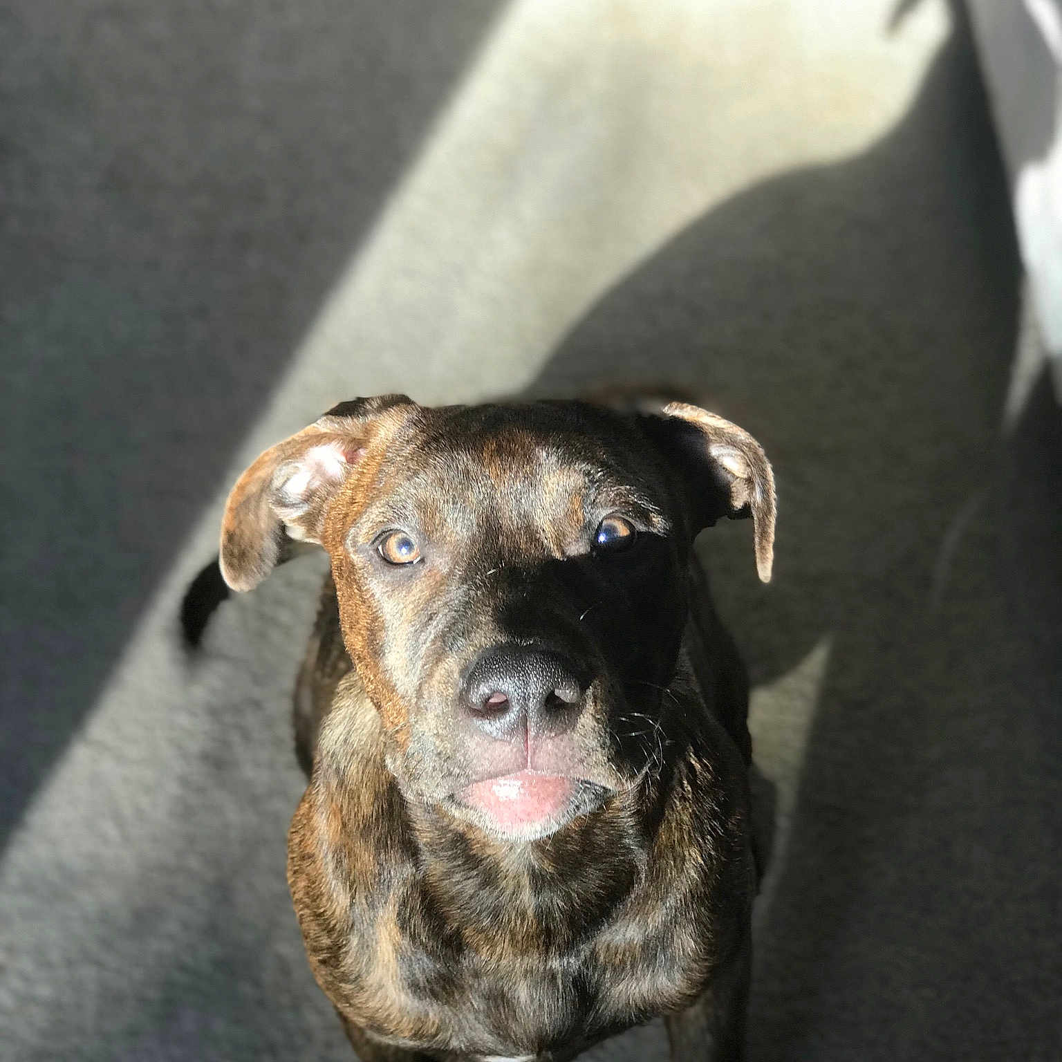 Oakley Renee