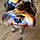 Sprocket