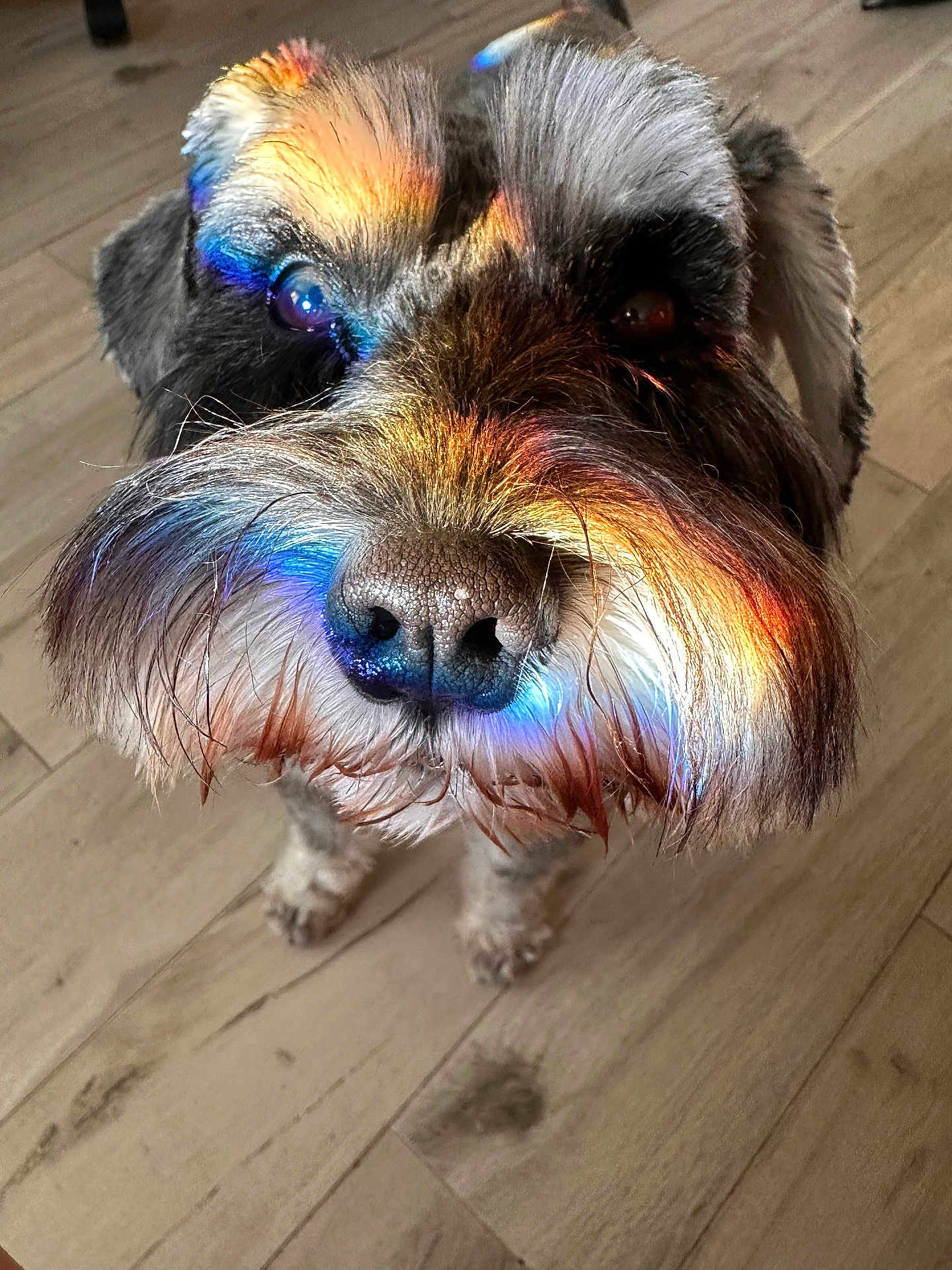 Sprocket