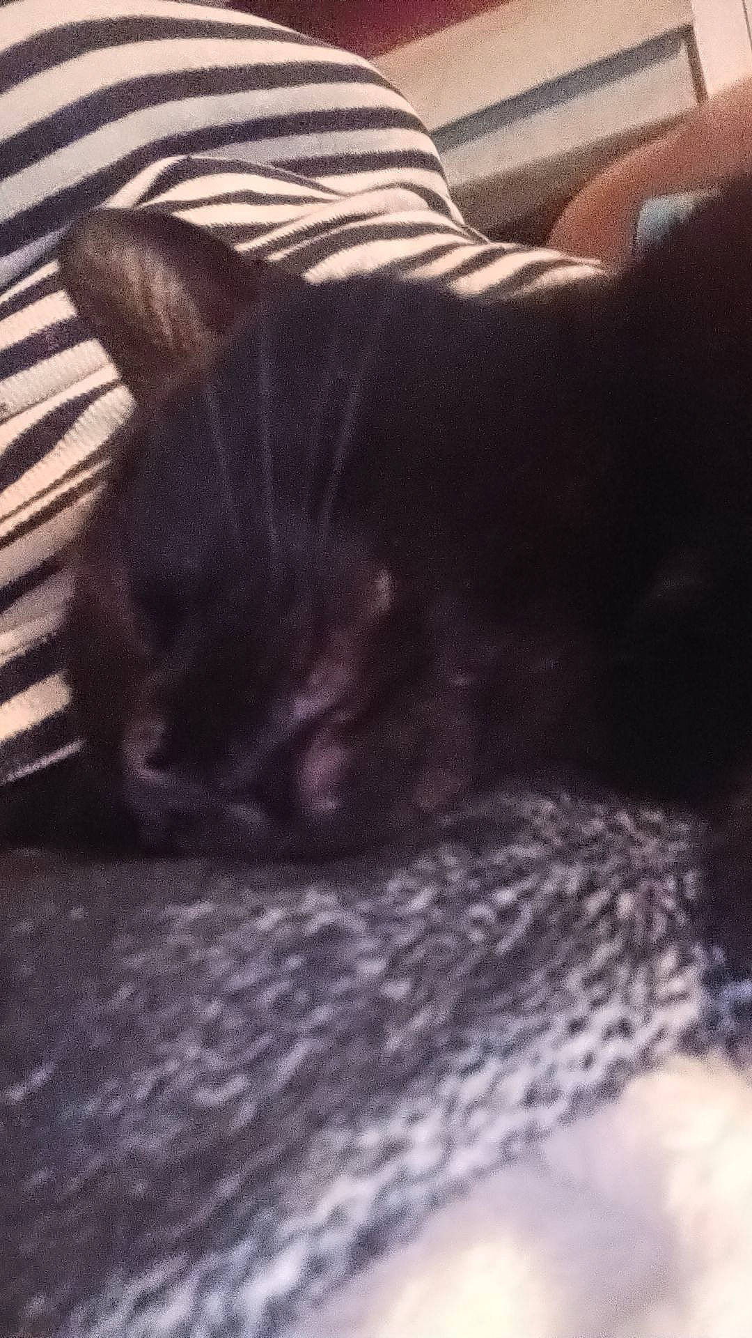 Alvin joined the competition — help win amazing prizes! black_cat, carnivore, cat, cloud, comfort, companion_dog, dog_breed, domestic_short_haired_cat, felidae, flooring, fur, gesture, grey, human_leg, small_to_medium_sized_cats, snout, tail, tints_and_shades, whiskers, wood