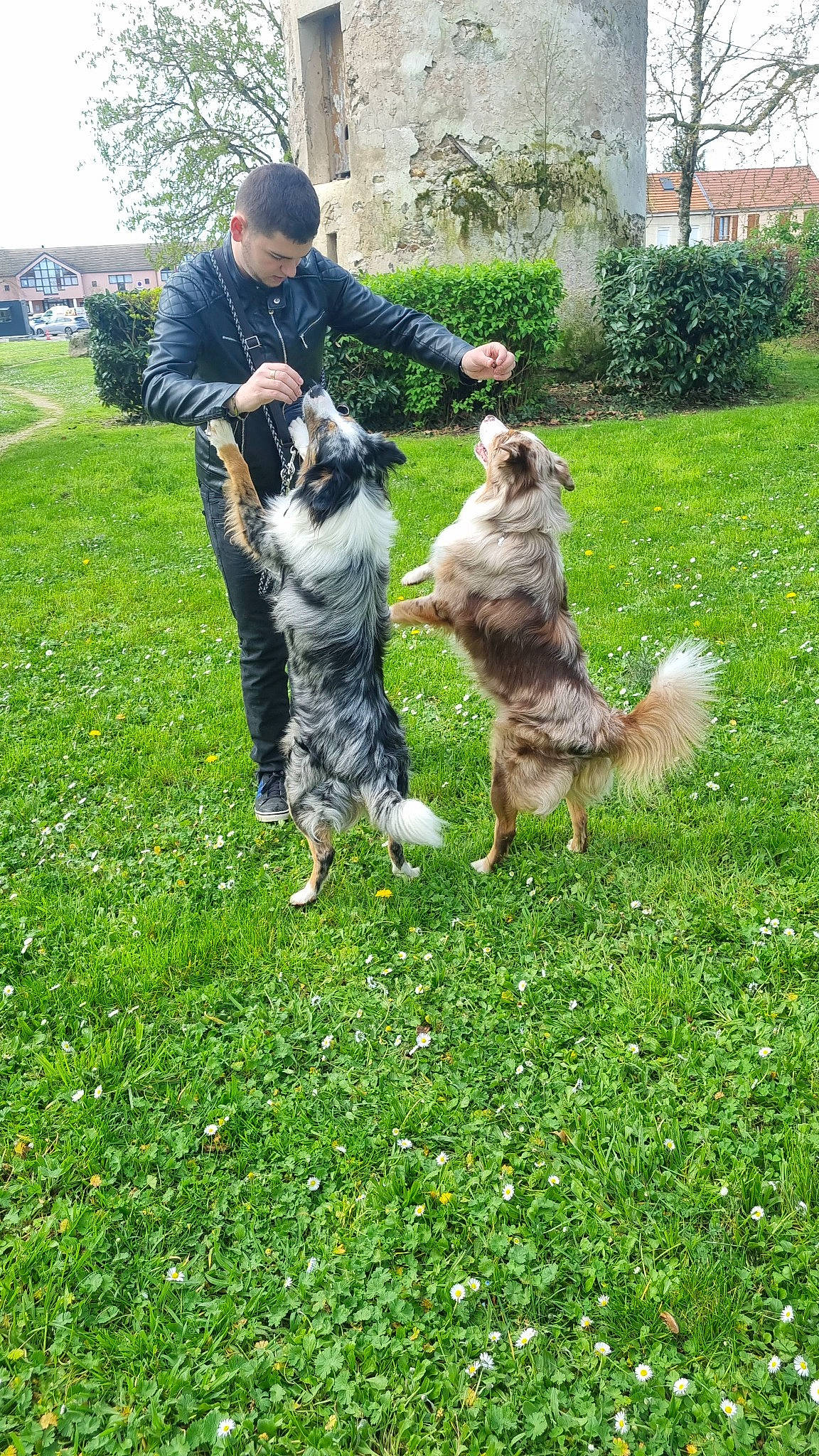 Hades Et Arrow participe au concours pour gagner de l'argent avec cette photo : army, cargo_pants, carnivore, companion_dog, dog, dog_breed, felidae, grass, groundcover, herding_dog, lawn, marines, military_camouflage, military_person, plant, recreation, sky, soldier, tail, tree