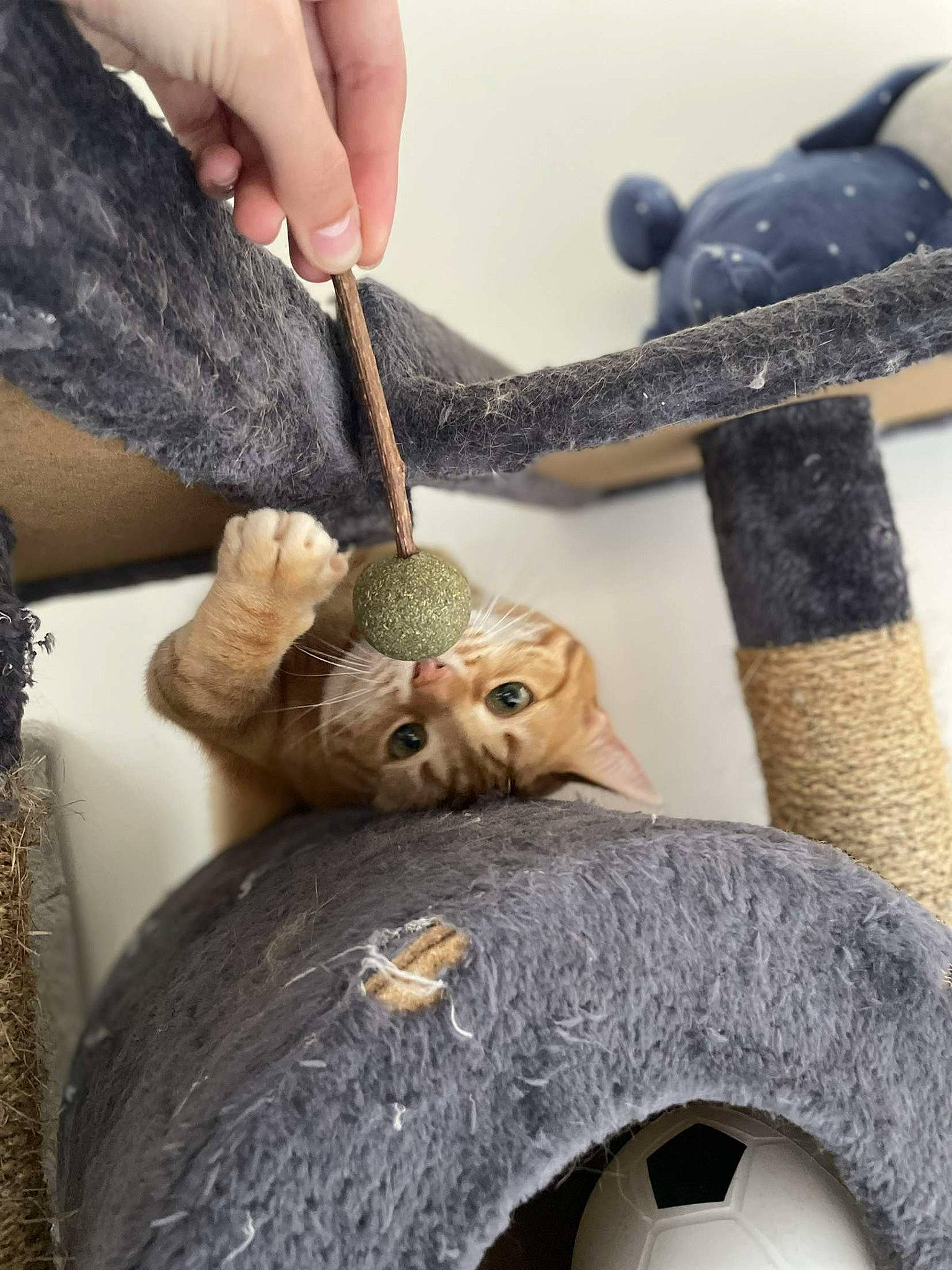 Ruby participe au concours pour gagner de l'argent avec cette photo : art, artifact, automotive_tire, automotive_wheel_system, carving, fashion_accessory, fur, hand, jewellery, metal, natural_material, plant_stem, rim, rope, sculpture, textile, toy, trunk, twig, wood