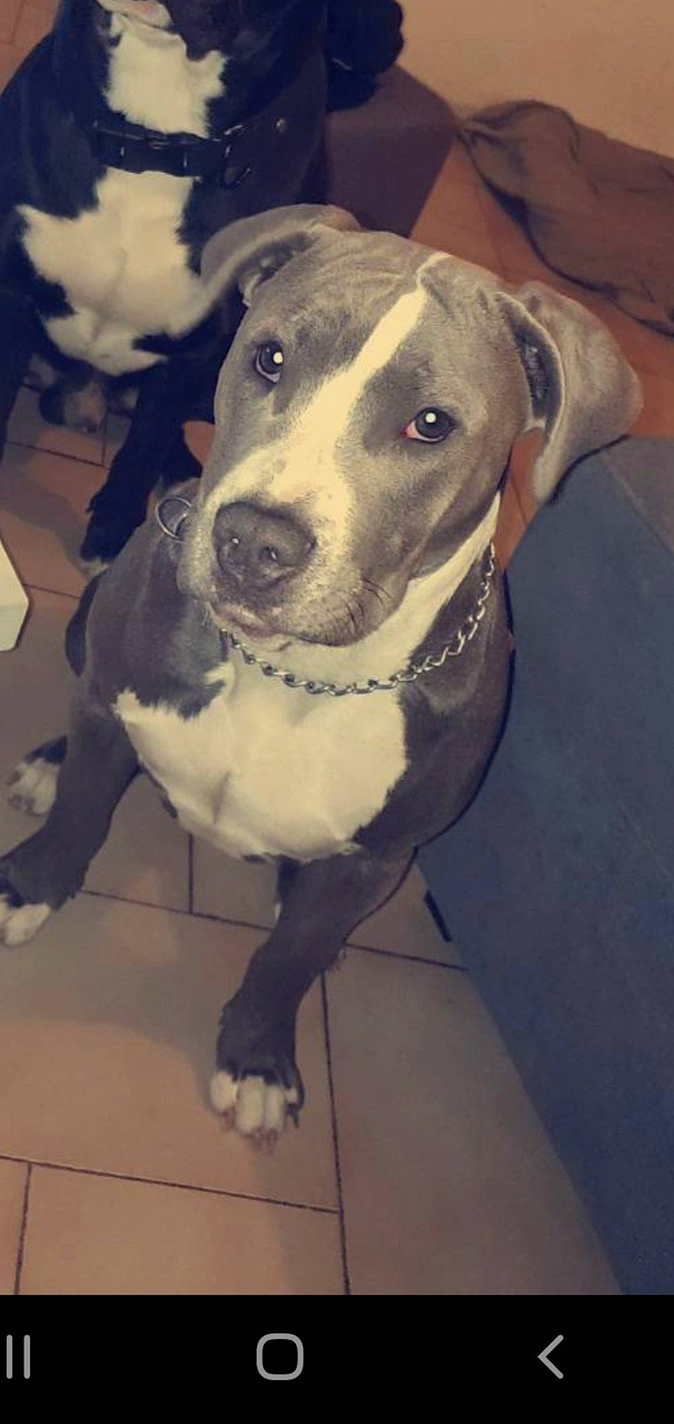 Naya