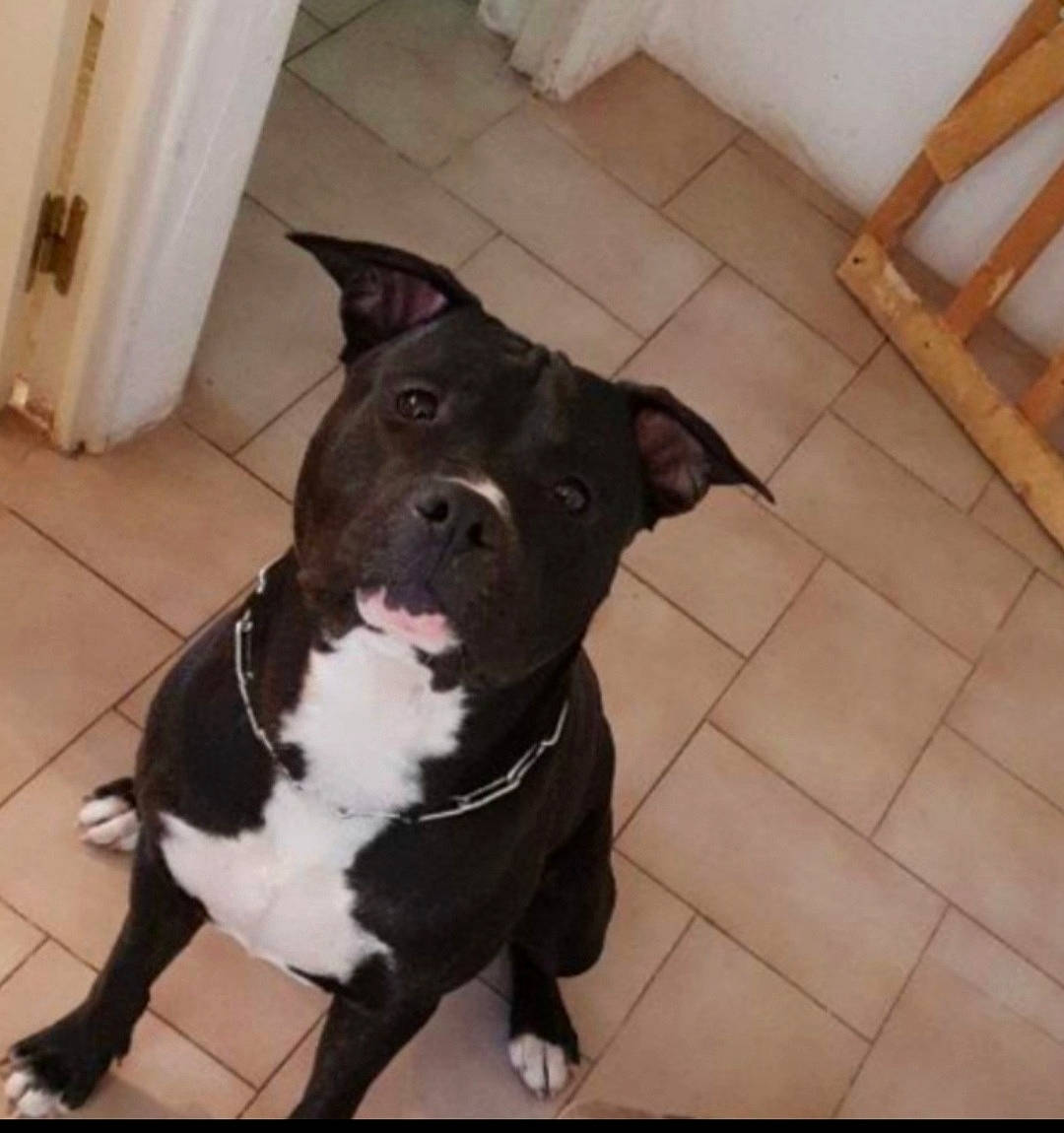 Tyson